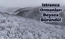 Yurt Genelinde Kar Yağışı Sürüyor: Istranca Ormanları Beyaza Büründü!