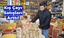 Soğuk Havaların Vazgeçilmez içecekleri:  Kış Çayı Satışları Arttı!