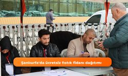 Şanlıurfa'da ücretsiz fıstık fidanı dağıtımı