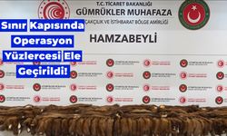 Sınır Kapısında Operasyon: Yüzlercesi Ele Geçirildi!