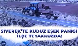 Siverek’te Kuduz Eşek Paniği: İlçe Teyakkuzda!