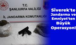 Siverek'te Jandarma ve Emniyet'ten Büyük Operasyon!