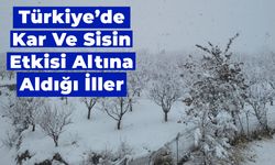 Türkiye’de Kar Ve Sisin Etkisi Altına Aldığı İller