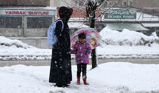 Bitlis ve Bingöl'de olumsuz hava koşulları nedeniyle eğitime ara verildi
