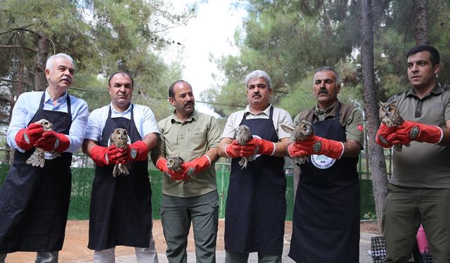 Doğada yaralı ve bitkin bulunan yaklaşık 400 kuş tedavi edildi