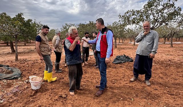 Tarım ve Orman Müdürlüğü, zarar gören üreticileri yalnız bırakmadı