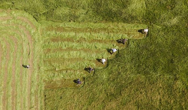 98,6 Milyon TL destekleme ödemesi, çiftçilerin hesaplarına aktarıldı