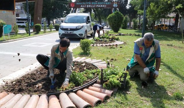 Haliliye’de parklar yaşam alanlarına dönüşüyor