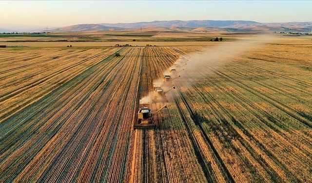 185,8 Milyon liralık tarımsal destekleme ödemesi yapıldı