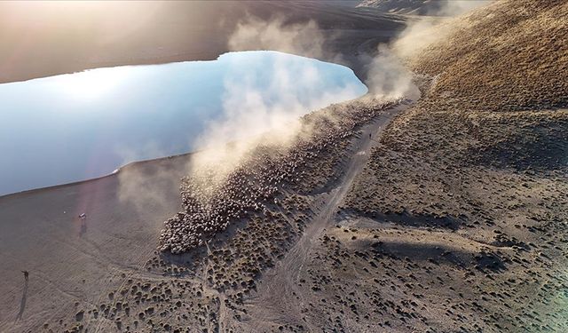 Sürülerin Nemrut Dağı'na tozlu yolculuğu