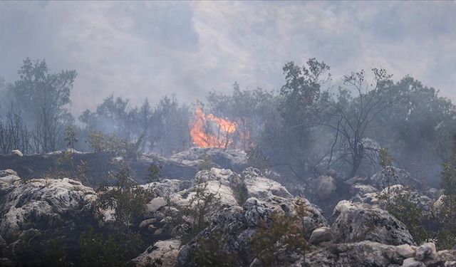 Gaziantep'te orman yangını söndürüldü