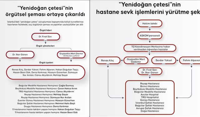 "Yenidoğan çetesi"nin örgütsel şeması ortaya çıkarıldı