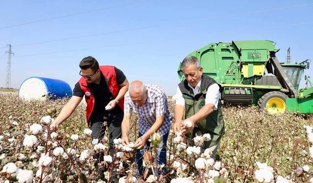 Kaymakam Ülkü, pamuk tarlasında hasada katıldı