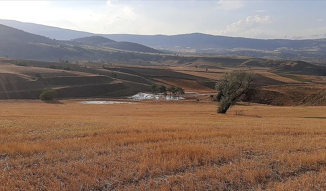 Tarım sezonundaki yağışlar yüzde 11 arttı