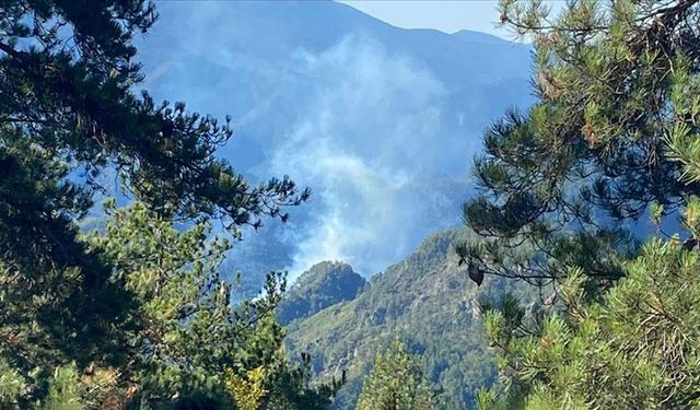 Hatay'da çıkan orman yangınına müdahale ediliyor