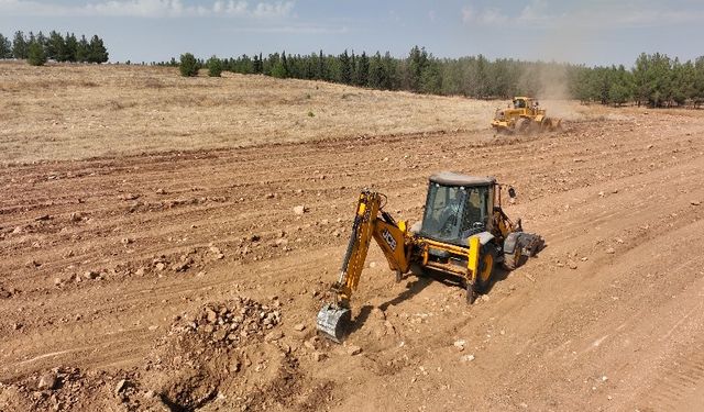 100 dönümlük hatıra ormanı için hazırlıklar başladı