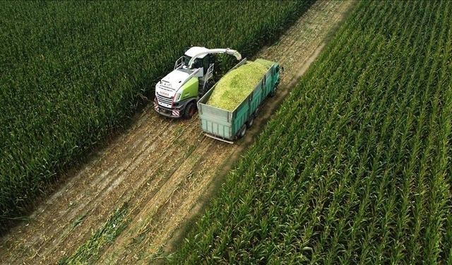 Destekleme ödemesi çiftçi hesaplarına aktarılıyor