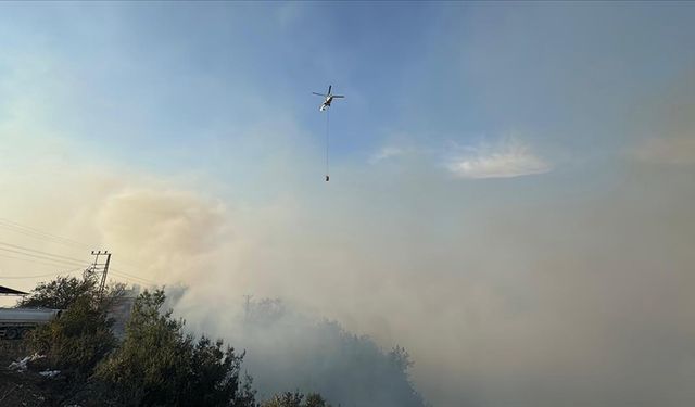 Hatay'daki yangın söndürülmeye çalışılıyor