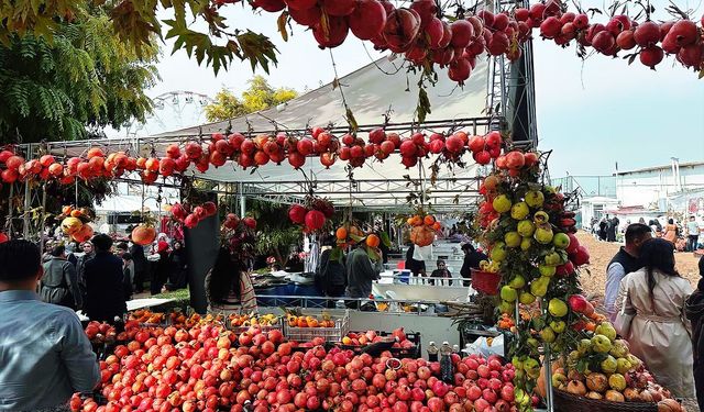 Halepçe Nar Festivali'nde satış rekoru