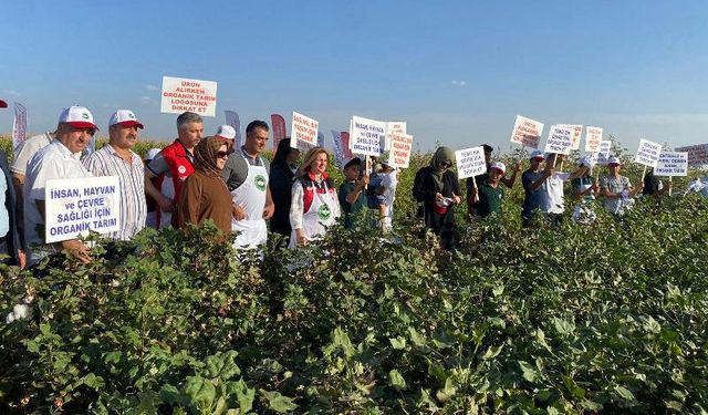 GAP ile tarım alanları genişliyor