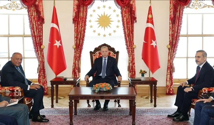 Cumhurbaşkanı Erdoğan, Samih Şukri'yi kabul etti