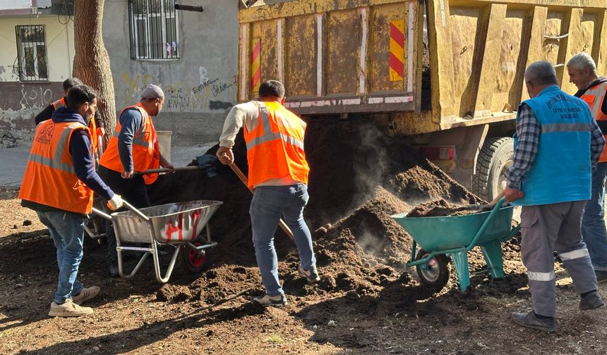 Eyyübiye Parklarında kış bakımı