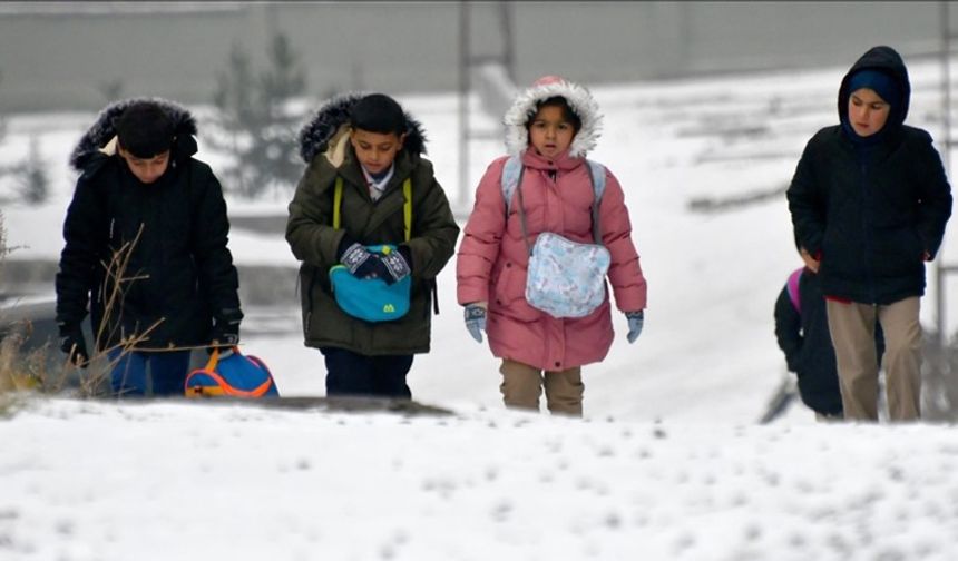 Doğu Anadolu'da kar yağışı etkili oldu