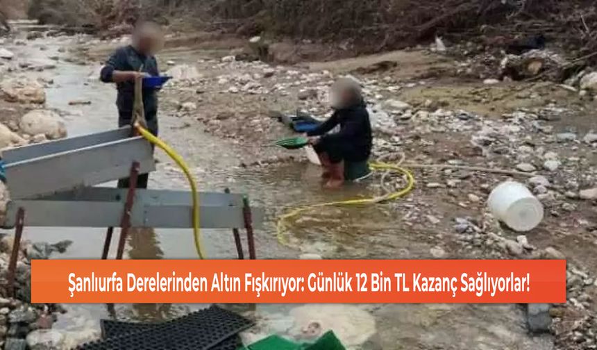 Şanlıurfa Derelerinden Altın Fışkırıyor: Günlük 12 Bin TL Kazanç Sağlıyorlar!