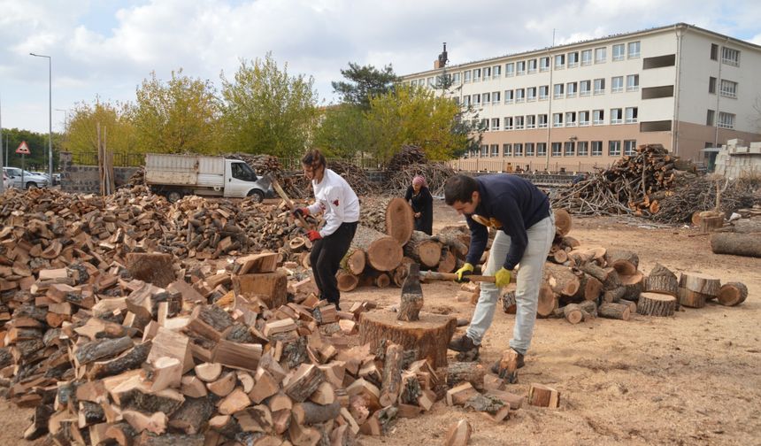 Şanlıurfa Siverek'te ailece odunculuk yapıyorlar