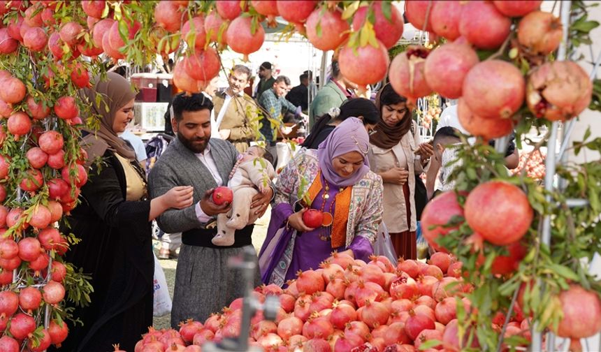 Halepçe'de Nar Festivali başladı