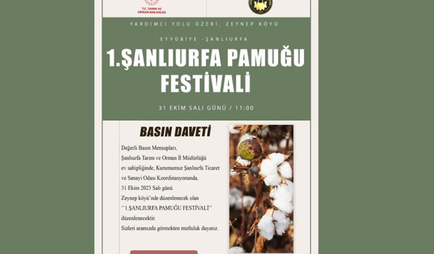 Urfa'da Pamuk Festivali düzenlenecek
