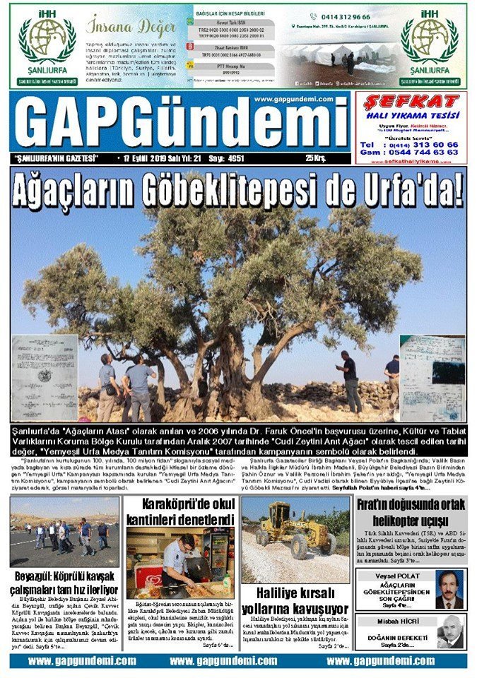 Ağaçların Göbeklitepesi