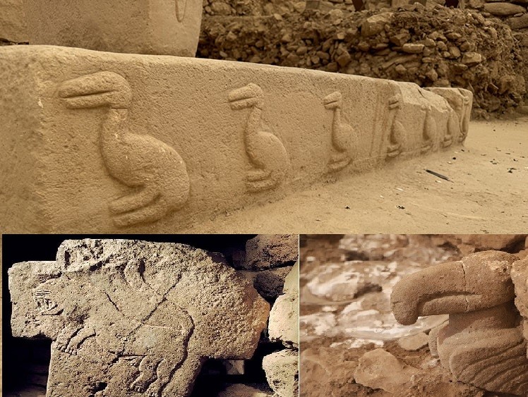 Göbeklitepe Ziyaretçi Akını (2)