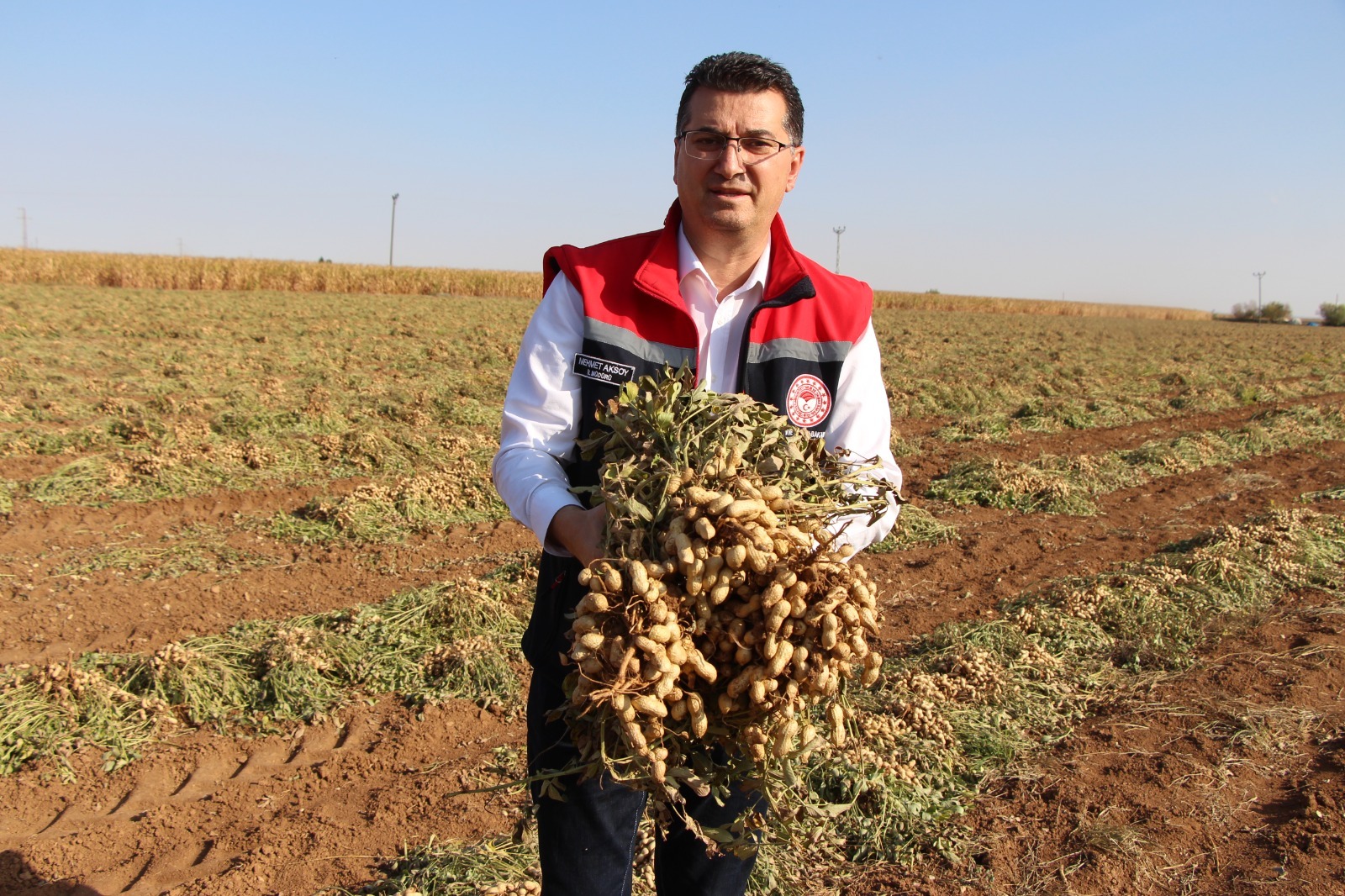 Mehmet Aksoy