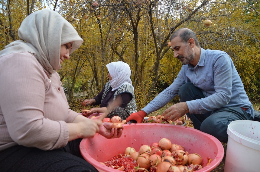 Nar Ekşisi (6)